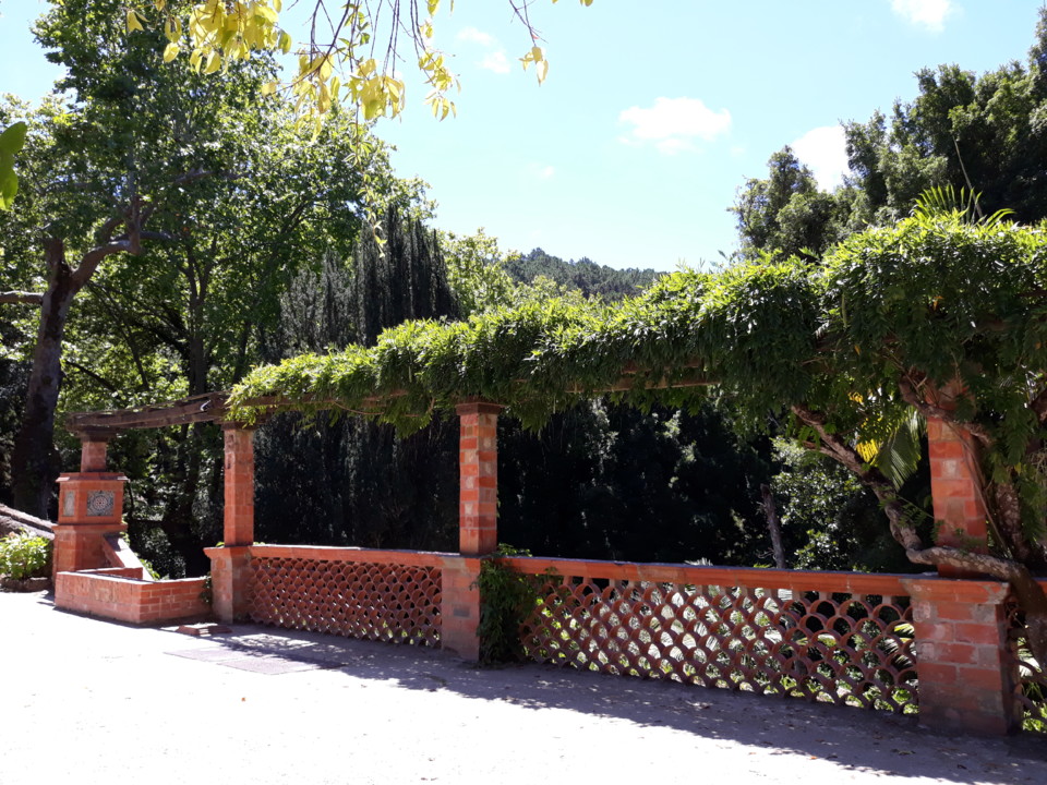 20200816_135946.jpg 20200816_135946.jpg