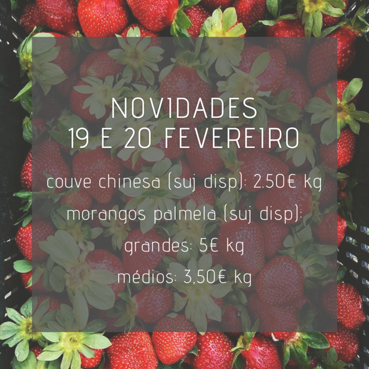 Novidds19e20Fev.png