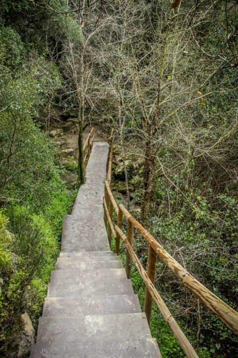 cascata da contradinha 3.jpg