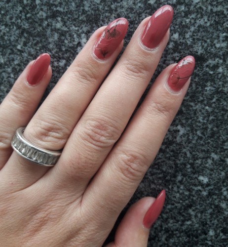 IMG_20181019_193303_520.jpg IMG_20181019_193303_520.jpg