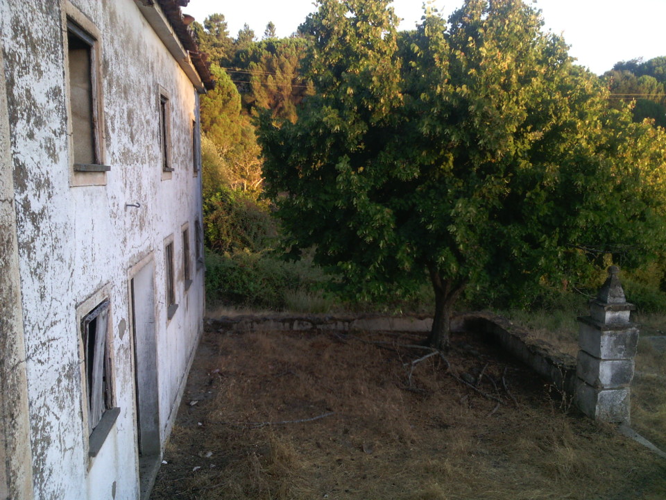 Foto original. 2020. 07. jpg