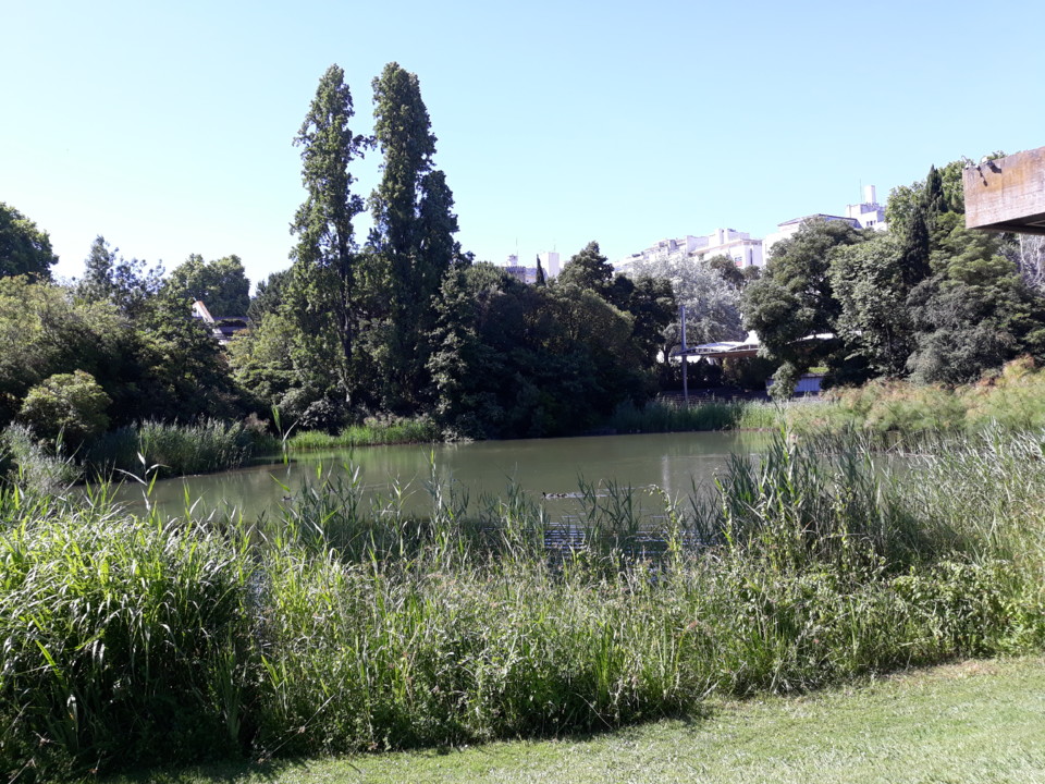 20200524_103624.jpg 20200524_103624.jpg