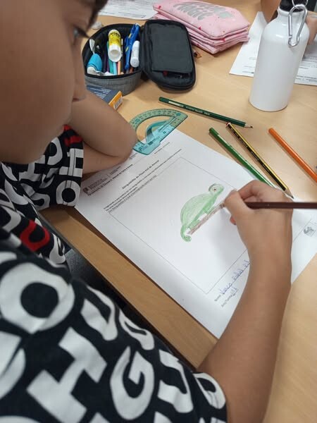 561596732_1428158925978163_6639135827735243947_n.j