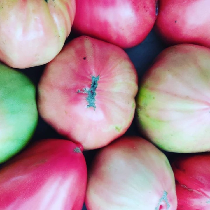 107711452_1752383794901374_3492111307287749266_o.j