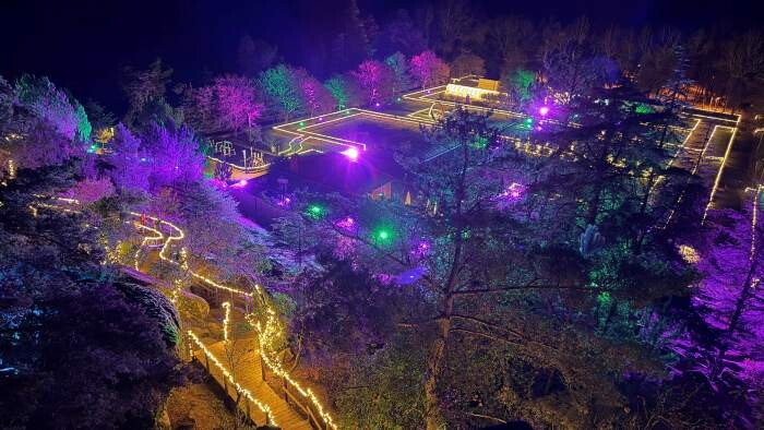 Floresta Encantada -Balanço Final (8).jpg