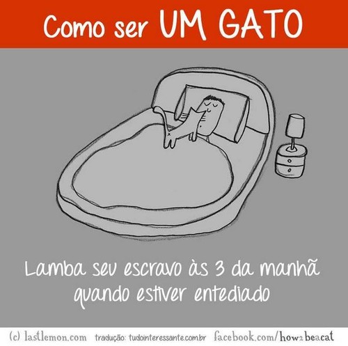 18446862_1471338789572590_357323899192484240_n.jpg 18446862_1471338789572590_357323899192484240_n.jpg