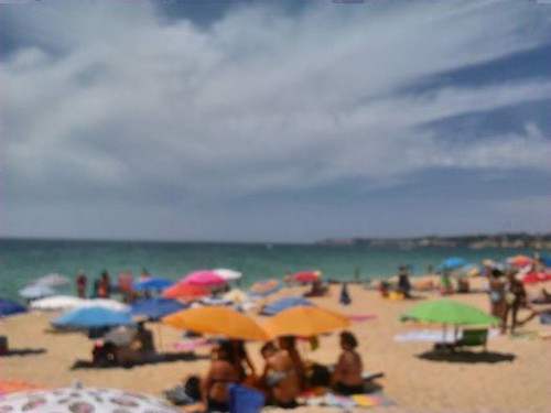 14034863_10208216939079772_5274636045204005597_n.j