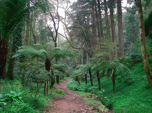 Screen Shot 2018-02-13 at 19.32.22.png Screen Shot 2018-02-13 at 19.32.22.png