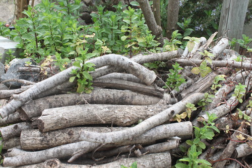 IMG_9975.JPG IMG_9975.JPG