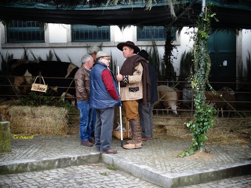 Feira do Queijo Em Seia !!! 026.jpg