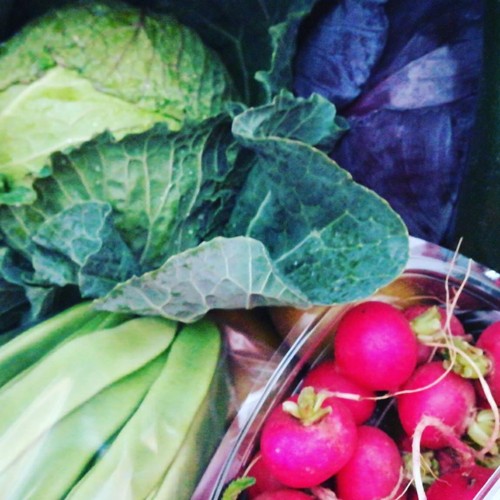 28168640_1046954018777692_7263750166439782547_n.jp 28168640_1046954018777692_7263750166439782547_n.jp