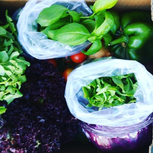 36607177_1132779013528525_5934748692505427968_n.jp