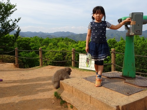 floresta bamboo kyoto.JPG