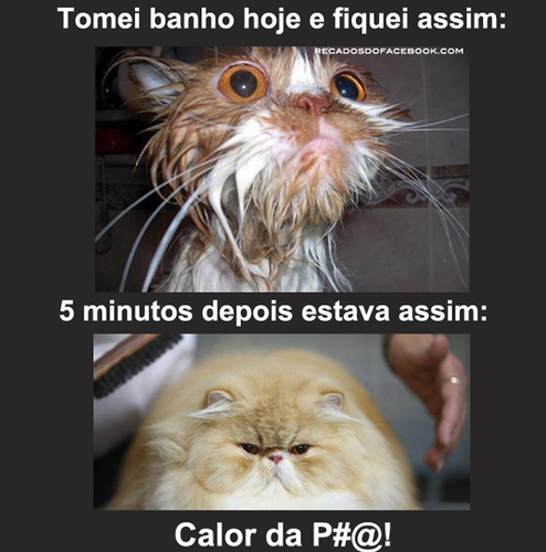 calor-da-porra.png