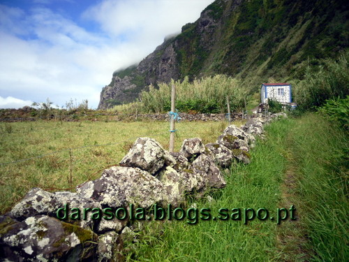 azores_flores_faja_lopo_Vaz_19.JPG azores_flores_faja_lopo_Vaz_19.JPG