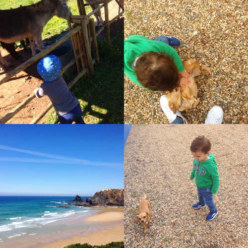 Photo (1).jpg Photo (1).jpg