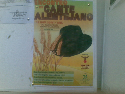 Cante Laranjeiro. Foto de F.M.C.L. Cante Laranjeiro. Foto de F.M.C.L.