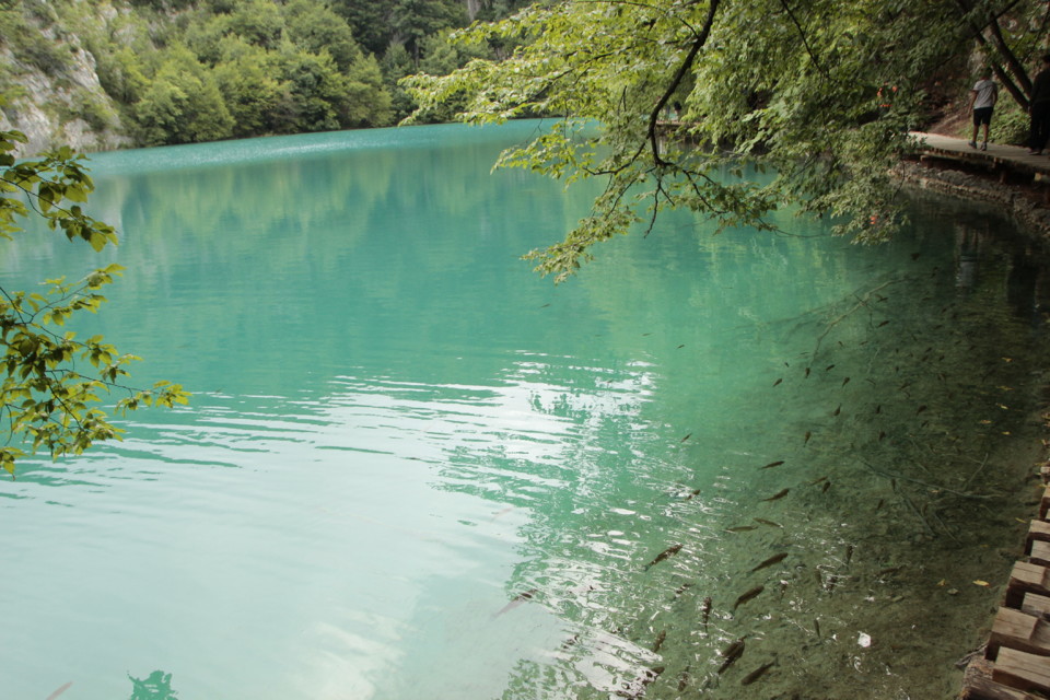 _MG_0880.JPG