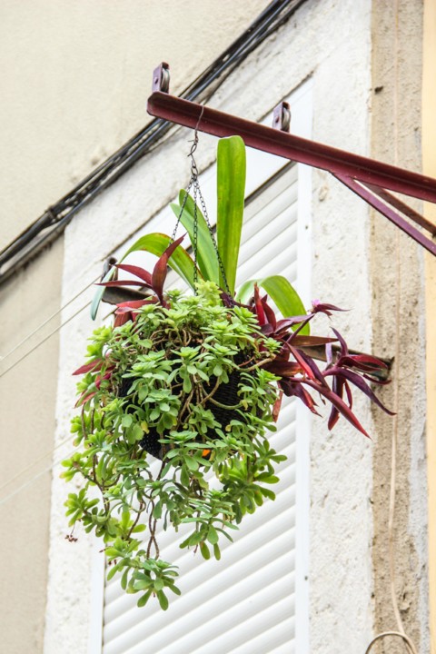 rua da silva 17.jpg rua da silva 17.jpg