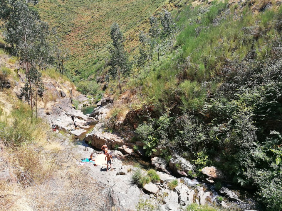 IMG_20200813_143442.jpg IMG_20200813_143442.jpg