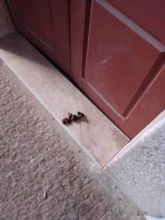 IMG_20200218_174519.jpg IMG_20200218_174519.jpg