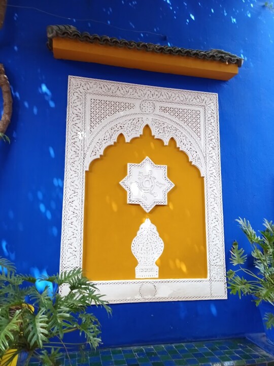 Não me canso disto_Jardim_h.jpg