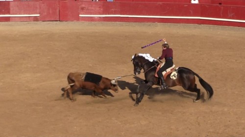 touradas1.jpg touradas1.jpg