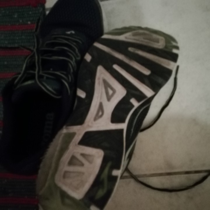 IMG_20200827_053726.jpg IMG_20200827_053726.jpg