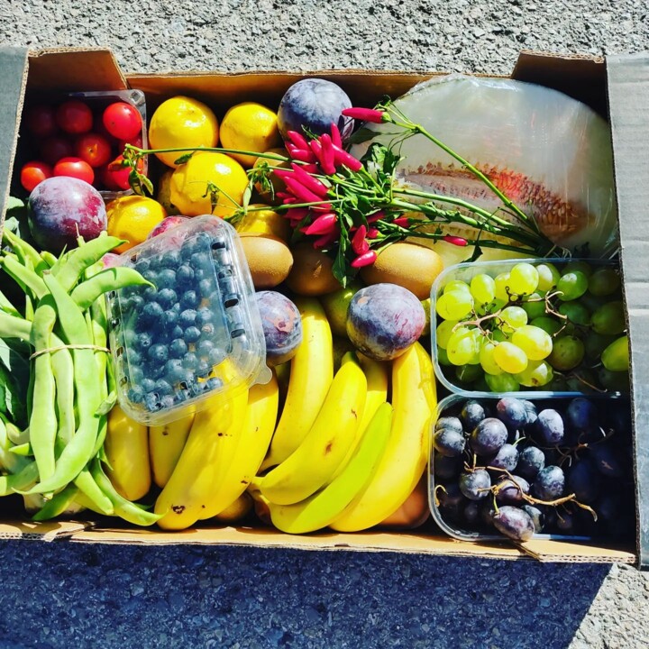 309864216_2426337554172658_4436281456114820537_n.j