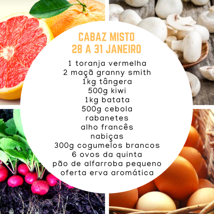 CabazMisto28a31jan.png CabazMisto28a31jan.png