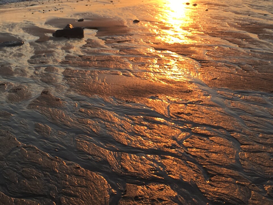 475179208_8442432565856247_914180259487544967_n.jp