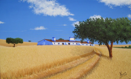 Campos da planície.jpg