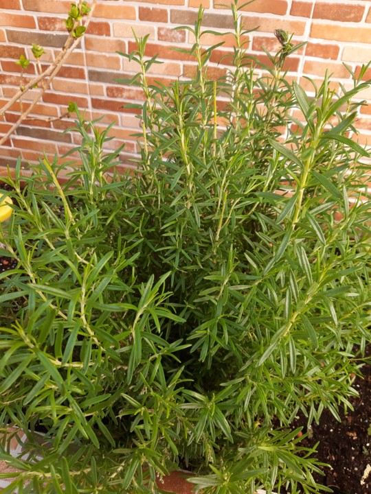 20200219_135717.jpg 20200219_135717.jpg