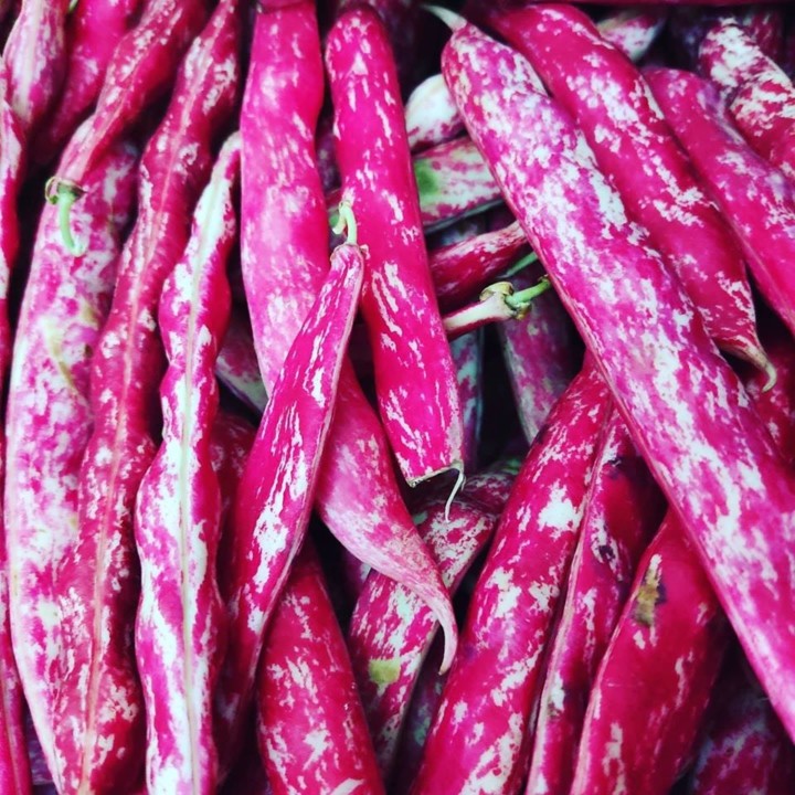 107811889_1752383891568031_3123249728075091741_o.j