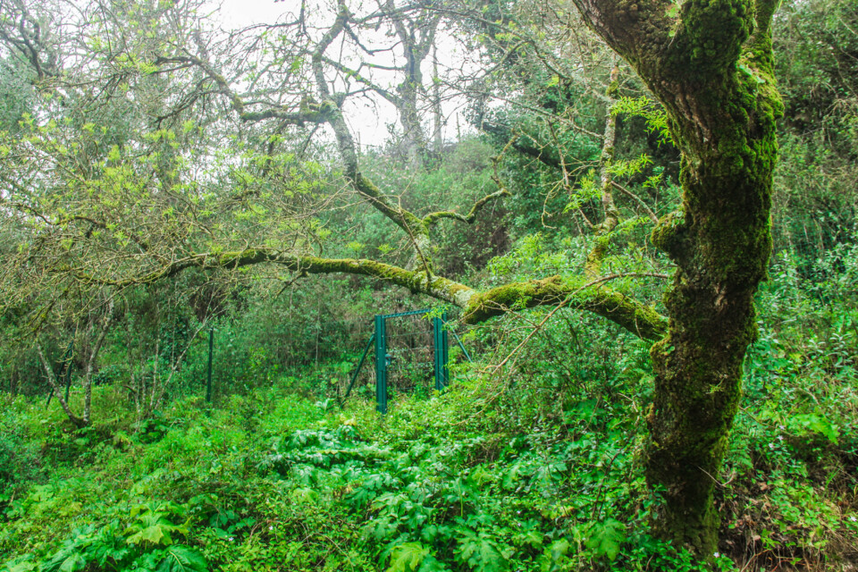 cascata do boição 4.jpg
