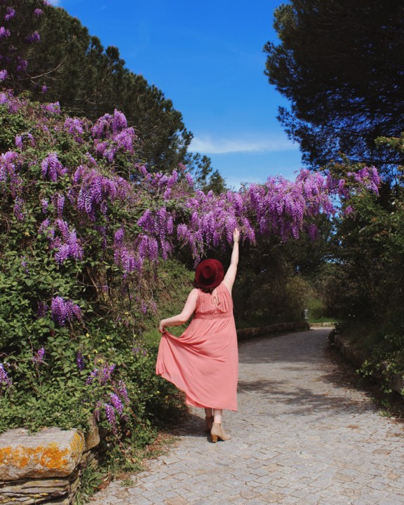 IMG_7104-1 (1).jpg IMG_7104-1 (1).jpg