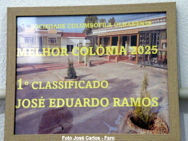 DSCF5009 - Cópia.JPG