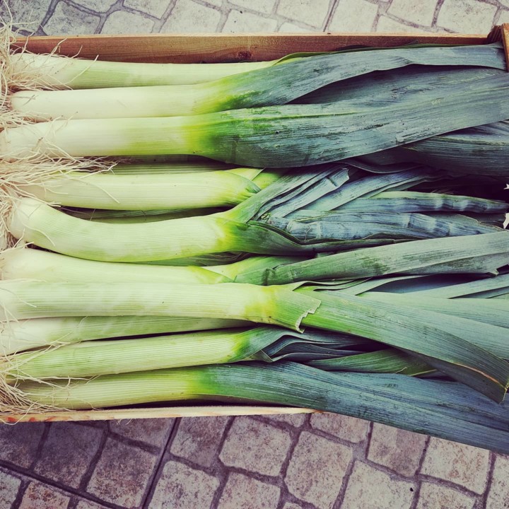 155031562_1960189147454170_4521984591133753669_o.j