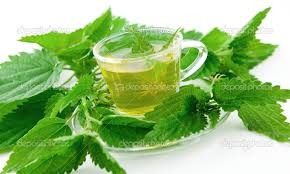 Chá de urtiga.jpg Chá de urtiga.jpg