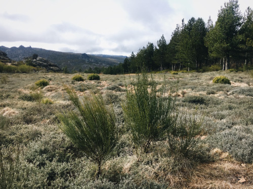 iPhone - Foto 2018-02-17 11_38_12.jpeg