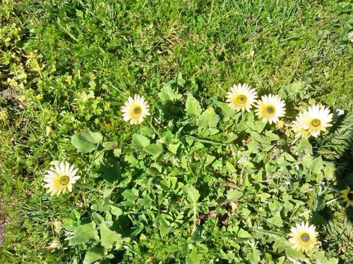 12417892_10207252401526936_3074177717857159259_n.j