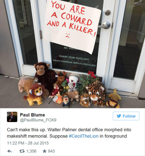 cecil-lion-illegal-hunting-internet-backlash-walte