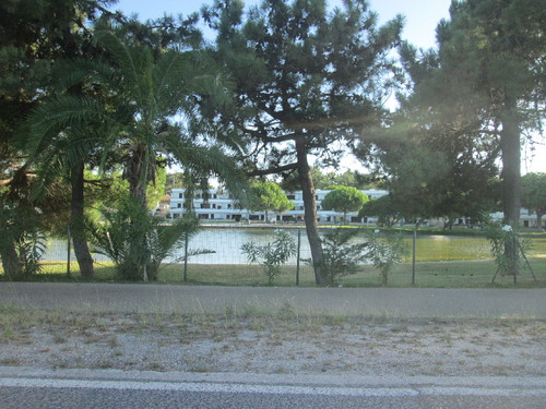 IMG_4394.JPG IMG_4394.JPG