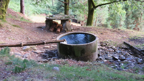 2017-08-03 17-48-23_0918.jpg