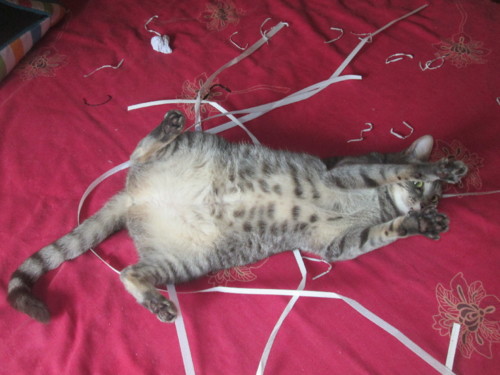 IMG_6090.JPG IMG_6090.JPG