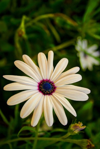 IMG_6164_ (2)_ (3)_fused.jpg