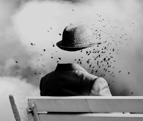 10850112_10152902997194839_8986057818239904059_n.j