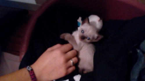 IMG_20160916_230716.jpg IMG_20160916_230716.jpg