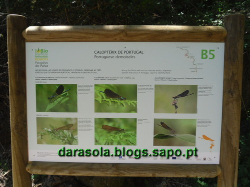 Passadicos_paiva_038.JPG Passadicos_paiva_038.JPG