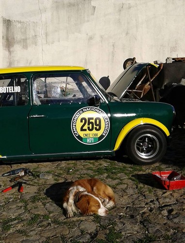 12650896_10153855370203851_909323368657754647_n.jp